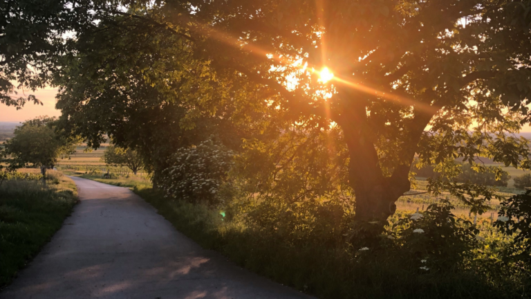 Platte tekst toevoegen (25)