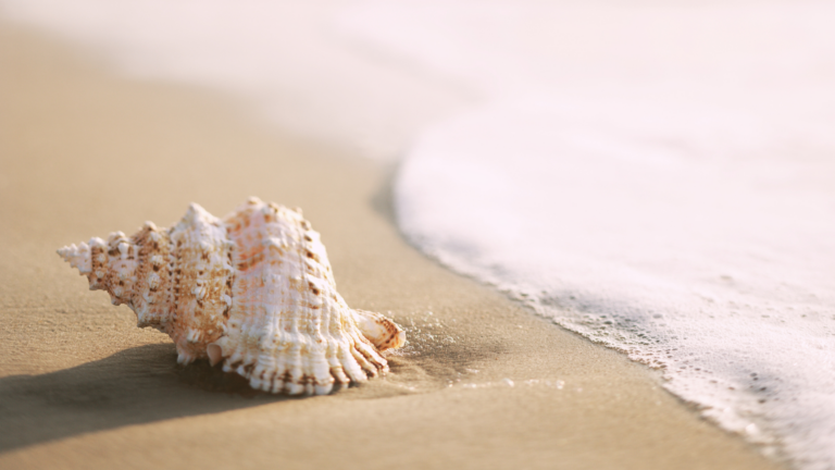 Platte tekst toevoegen (28)