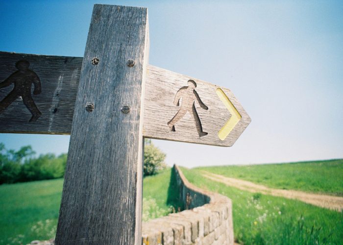 nick-page-MDeevV3gSAI-unsplash nick-page-MDeevV3gSAI-unsplash